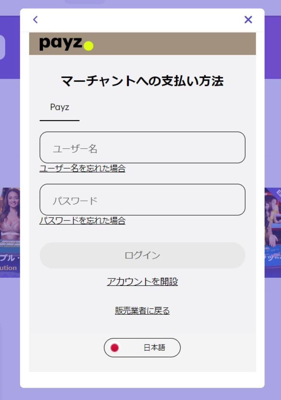 ペイズ|入金方法3